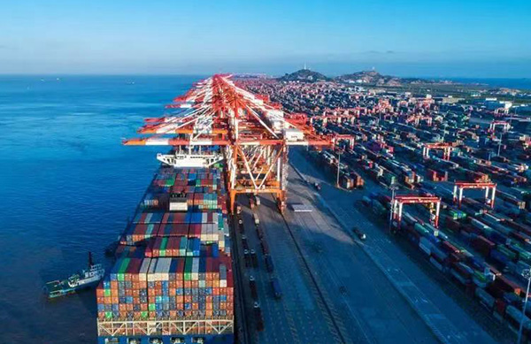 Can't you distinguish between freight forwarders, ocean freight operations, and shipping operations?